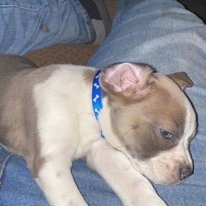 Meet your Posher, Jason